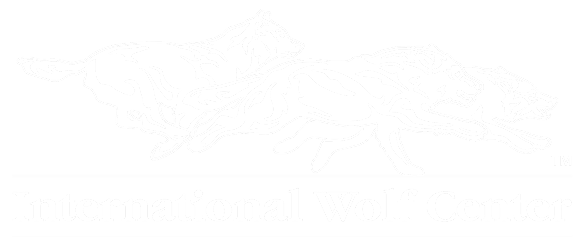 Wolf Den Store International Wolf Center